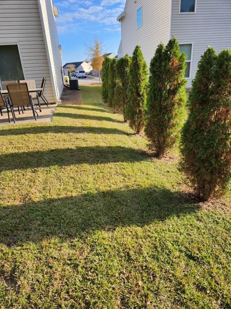 Trusted outdoor landscaping with custom design across Columbia, SC - Lawns Mowed By Michael