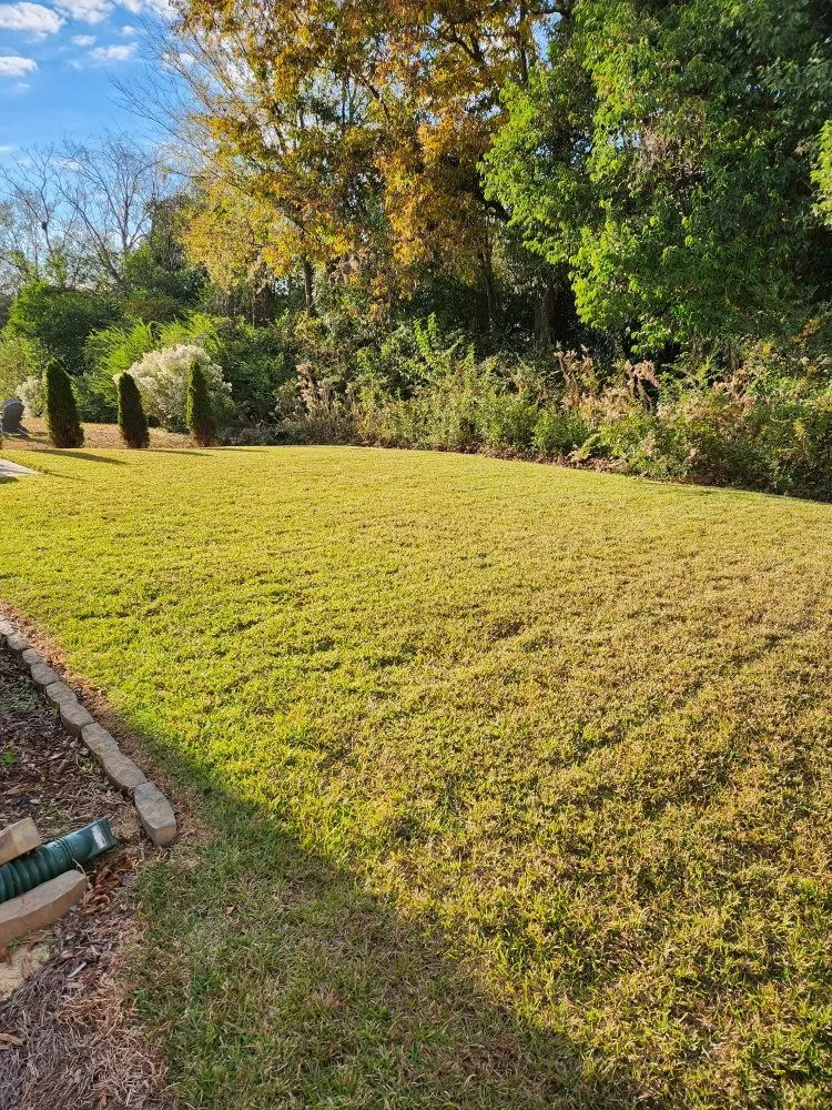 Reliable landscape installation in Columbia, SC - Lawns Mowed By Michael