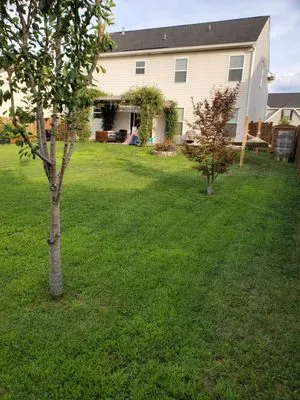 Lawns Mowed By Michael Logo