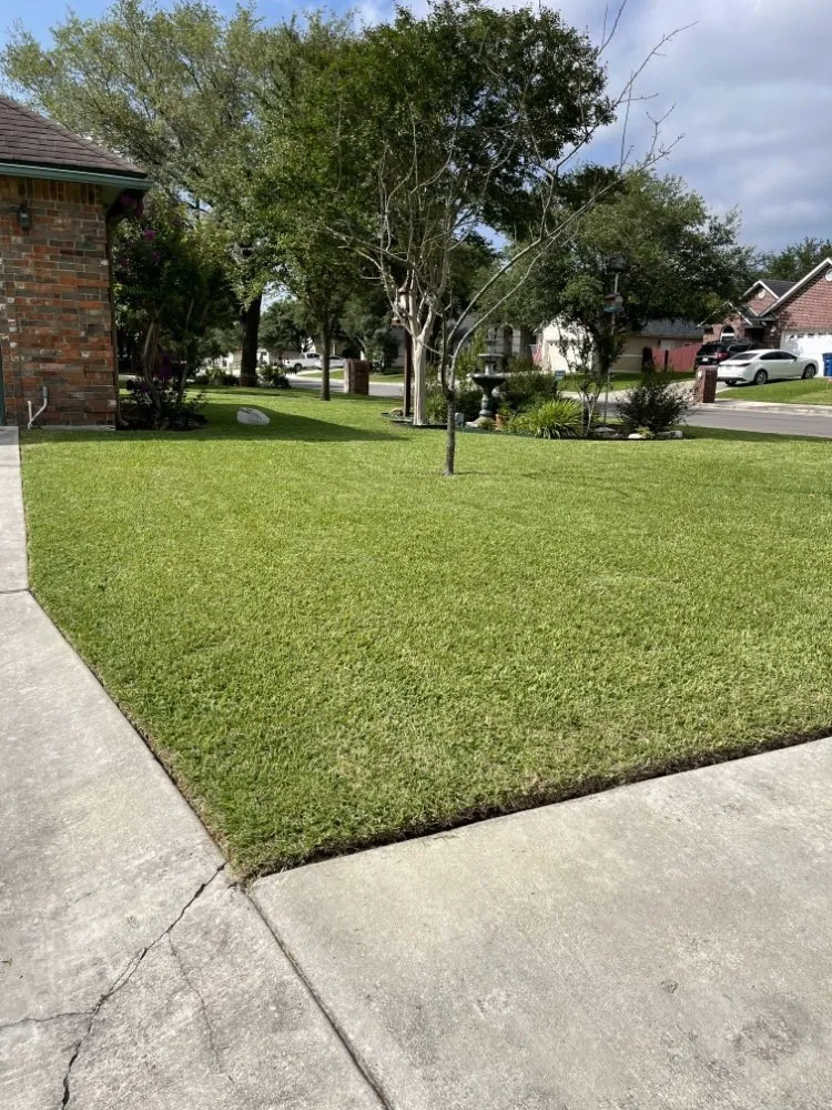 Top-rated landscaping services experts serving Seguin, TX - Lawns N Beyond