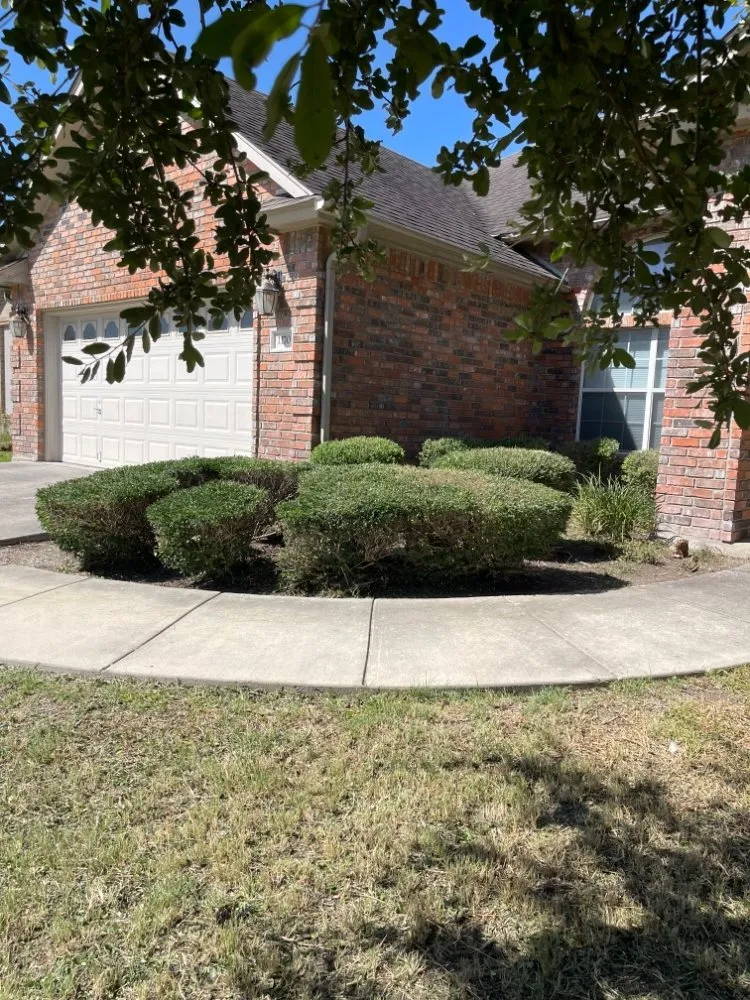 Local yard cleanup service for outdoor upgrades in Seguin, TX by Lawns N Beyond