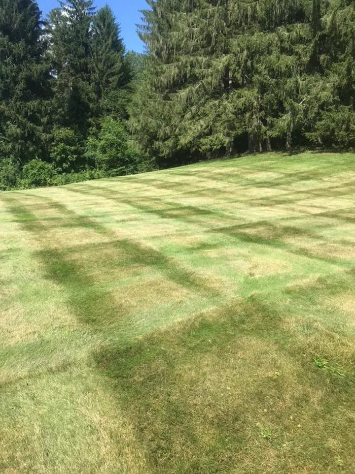 Professional lawn care service in Pomfret Center, CT by Lawns-N-More