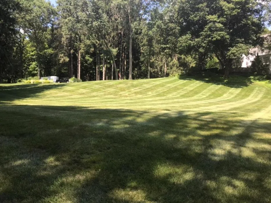 Local lawn care service for outdoor upgrades across Pomfret Center, CT - Lawns-N-More