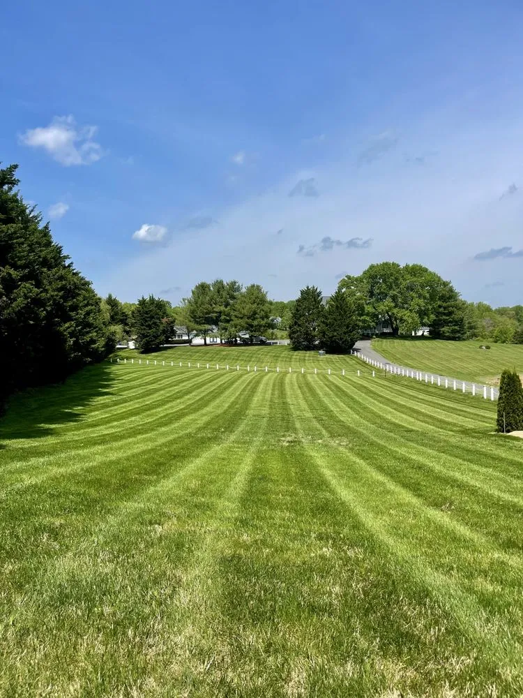 Custom yard cleanup service in Fredericksburg, VA - Lawns 'n Needs