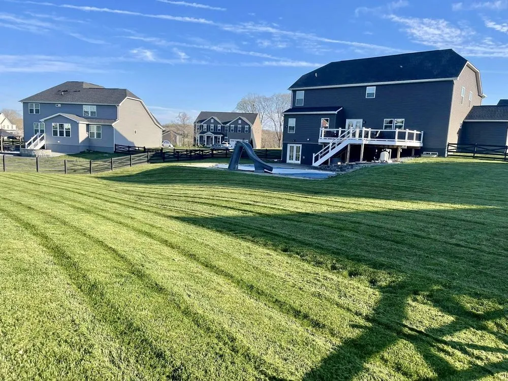 Affordable yard cleanup service for residential properties across Fredericksburg, VA - Lawns 'n Needs