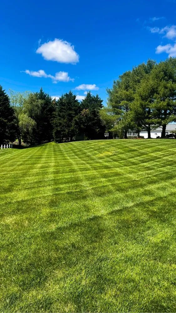 Professional residential landscaping for residential properties in Fredericksburg, VA by Lawns 'n Needs