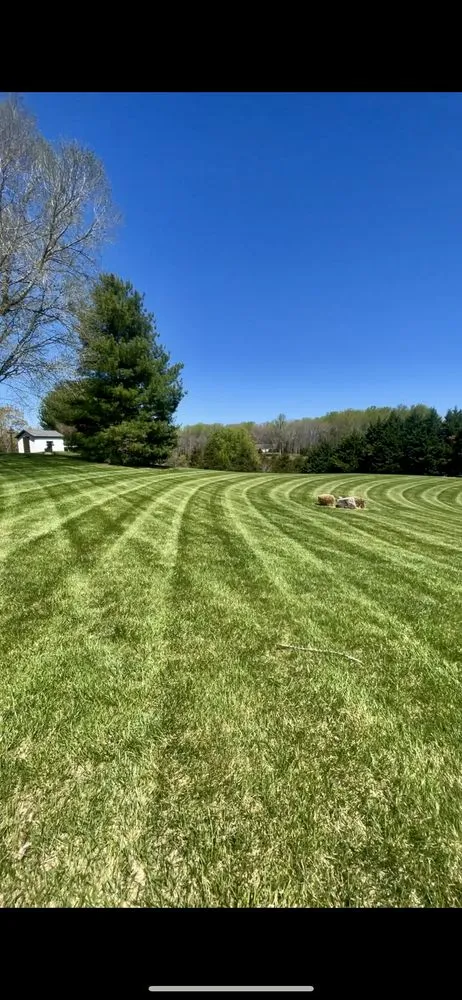 Top-rated lawn care service in Fredericksburg, VA - Lawns 'n Needs