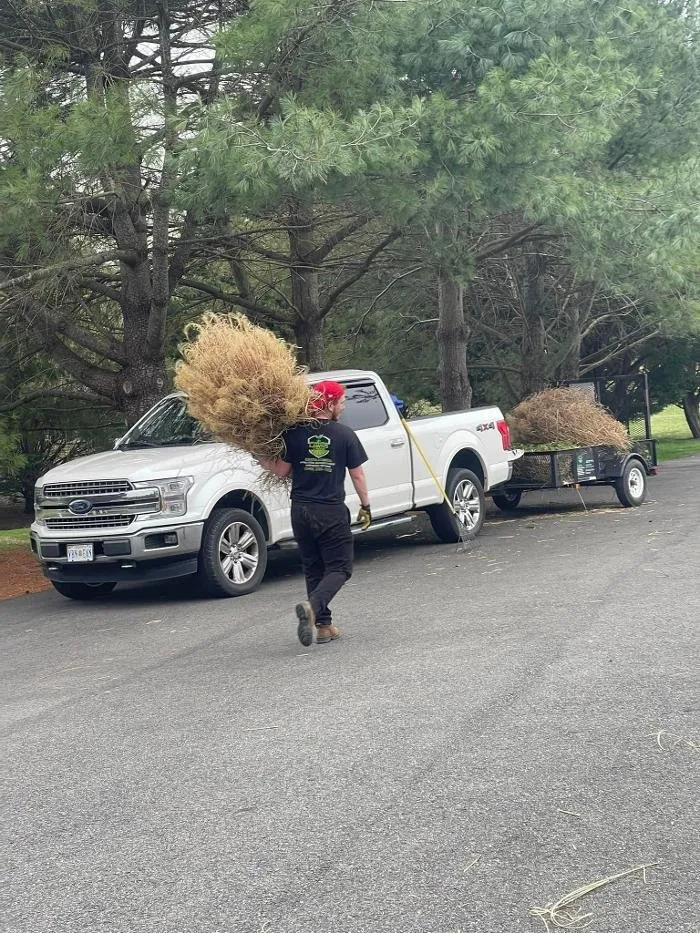 Expert residential landscaping near you across Fredericksburg, VA - Lawns 'n Needs