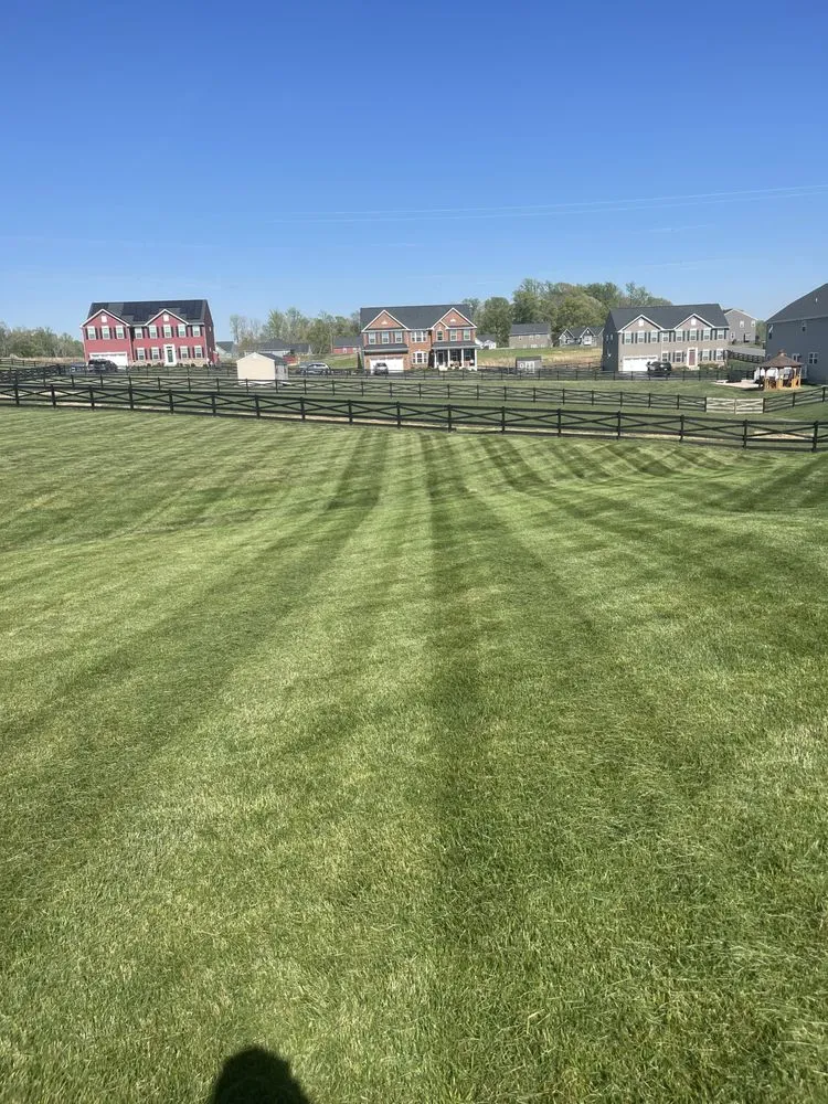 Reliable landscape installation in Fredericksburg, VA - Lawns 'n Needs