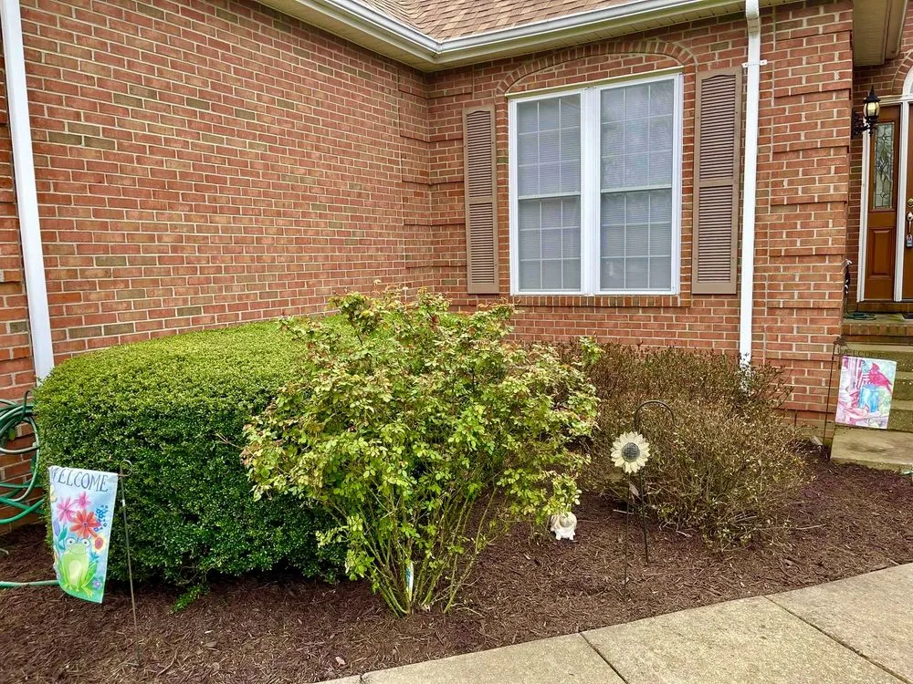 Affordable landscape design in Fredericksburg, VA - Lawns 'n Needs