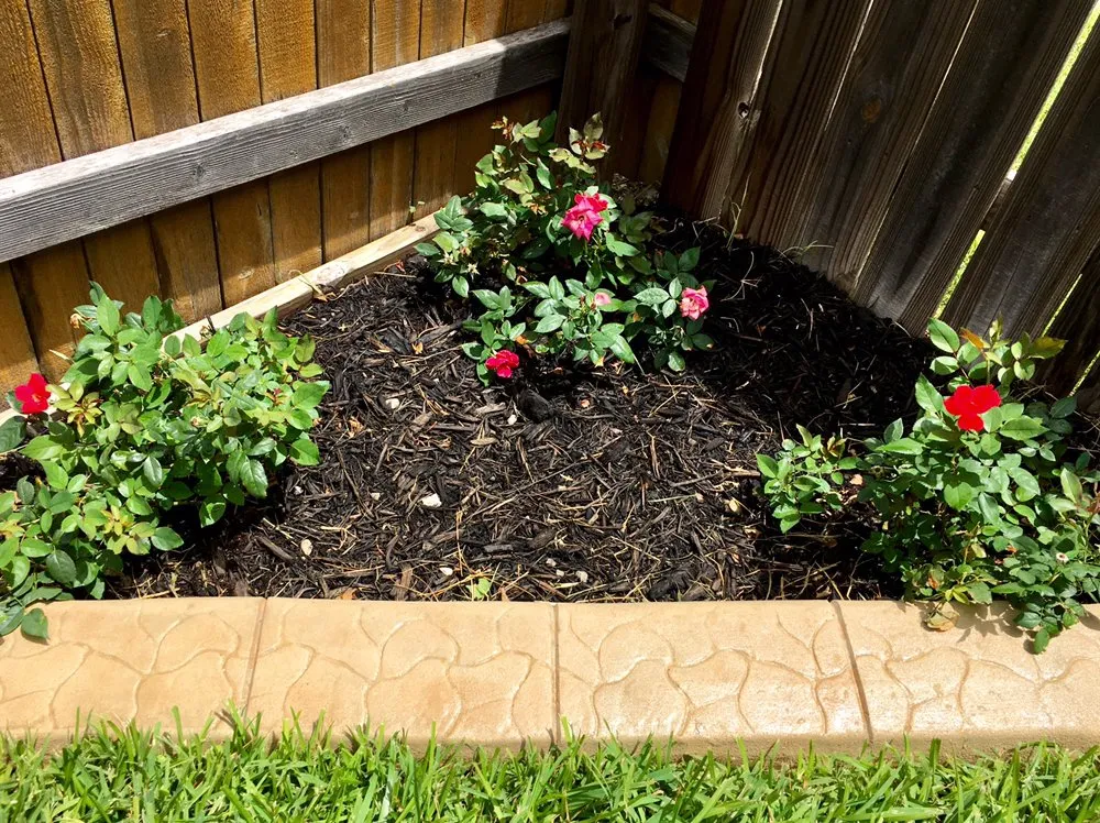 Affordable lawn mowing service in Pflugerville, TX by Lawns-N-Order Lawn & Landscape Services