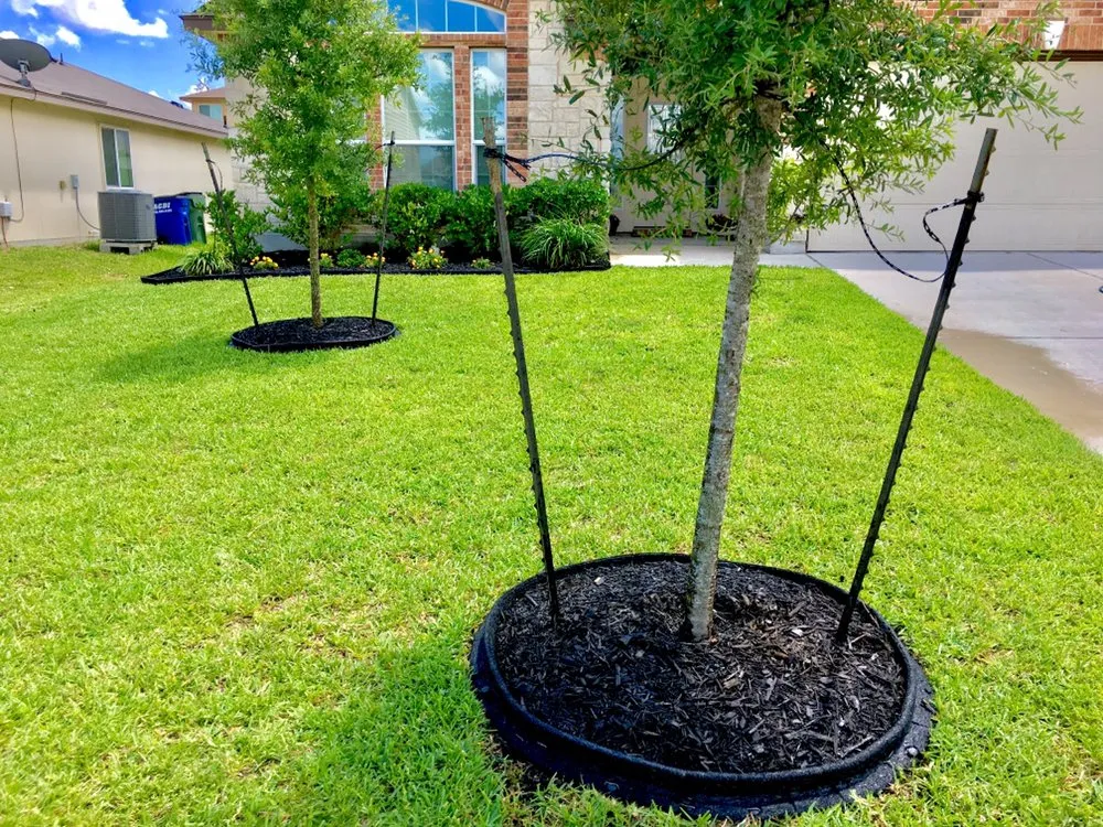 Local lawn care service experts serving Pflugerville, TX - Lawns-N-Order Lawn & Landscape Services