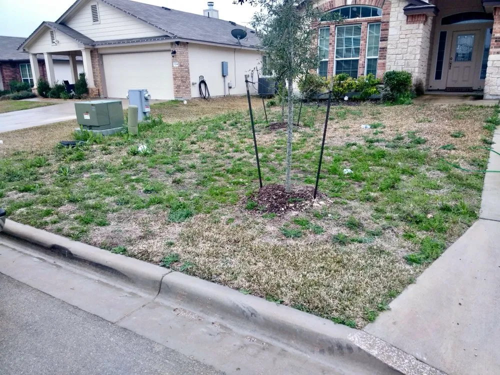 Reliable landscape installation in Pflugerville, TX by Lawns-N-Order Lawn & Landscape Services