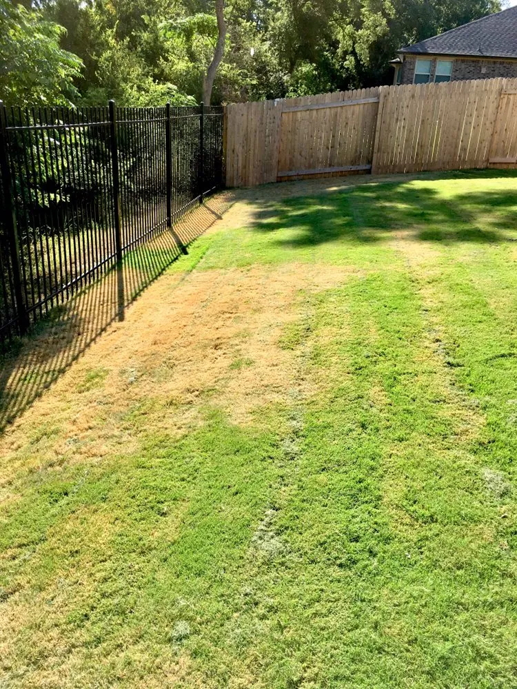 Custom landscape design for year-round maintenance in Pflugerville, TX by Lawns-N-Order Lawn & Landscape Services