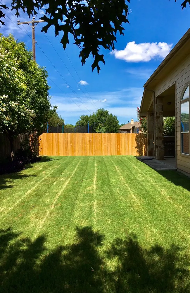 Expert landscaping services for beautiful yards across Pflugerville, TX - Lawns-N-Order Lawn & Landscape Services