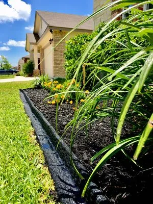 Lawns-N-Order Lawn & Landscape Services Logo