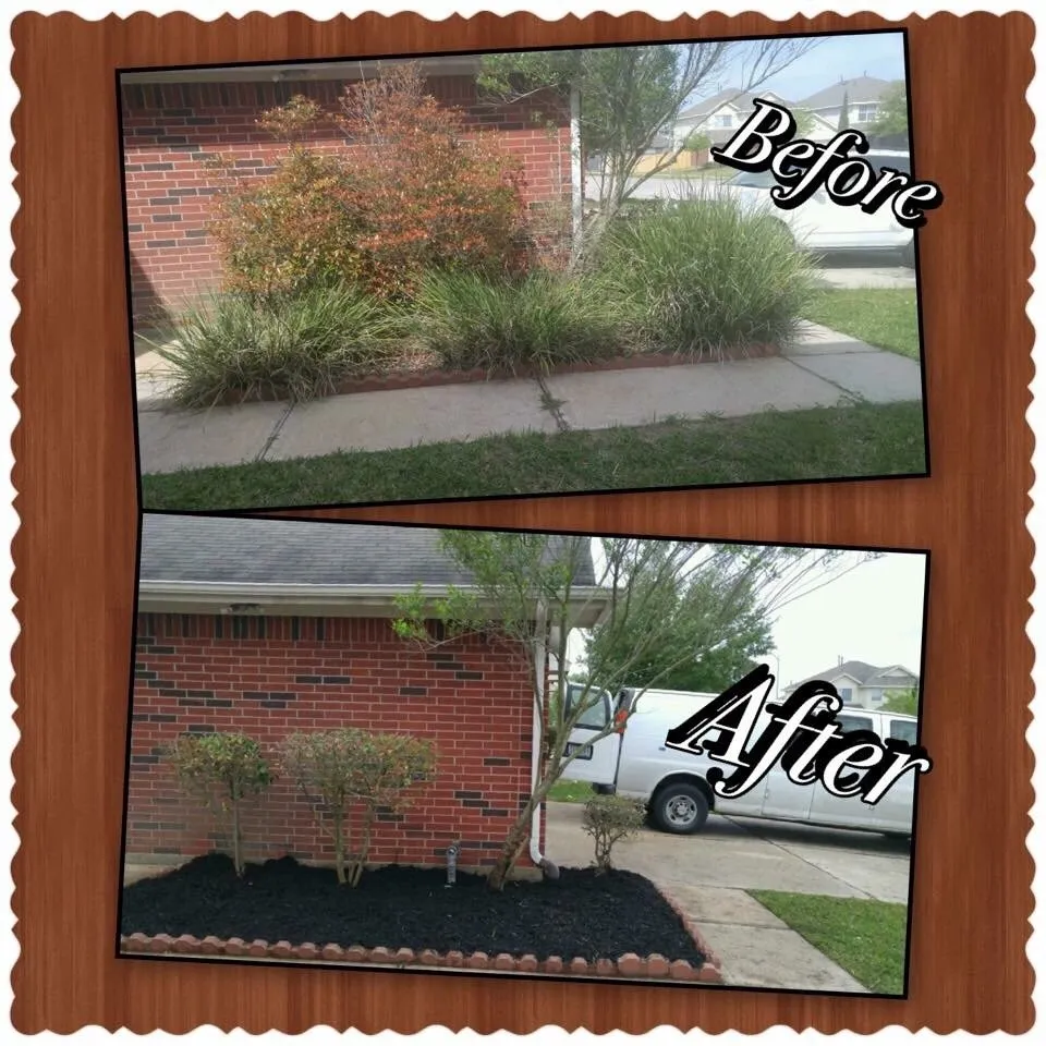 Custom yard cleanup service for residential properties across Houston, TX - Lawns Of Luxury