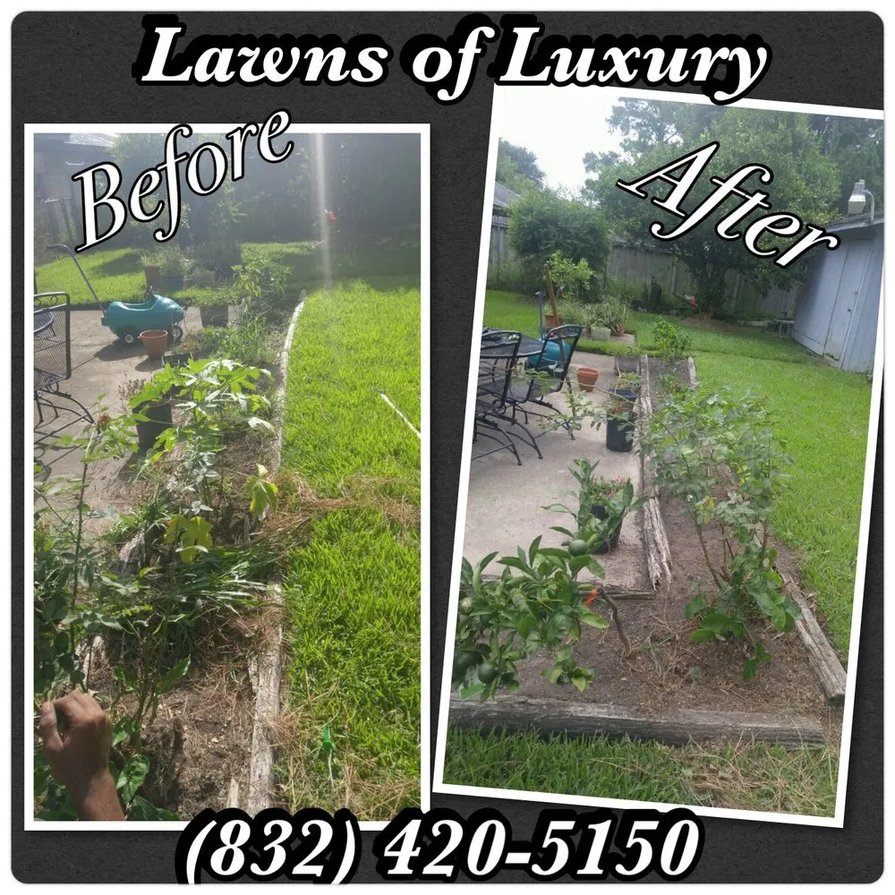 Trusted lawn care service in Houston, TX by Lawns Of Luxury
