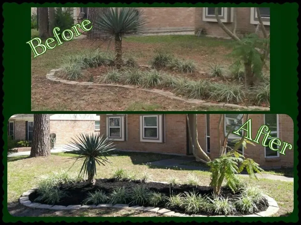 Expert landscape installation for residential properties in Houston, TX by Lawns Of Luxury