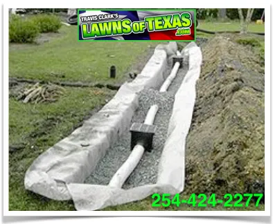 Local yard cleanup service experts serving Woodway, TX - Lawns of Texas