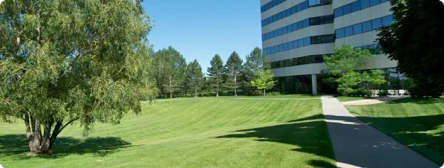 Reliable yard cleanup service experts serving Woodway, TX - Lawns of Texas