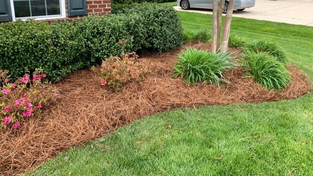 Professional yard maintenance for outdoor upgrades across Oak Island, NC - Lawns of the East Coast