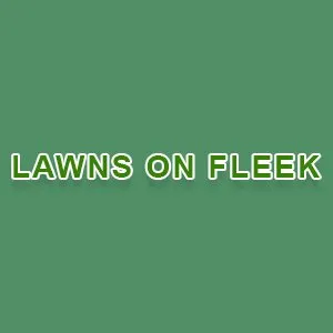 Expert yard cleanup service in Richmond, KY - Lawns on Fleek