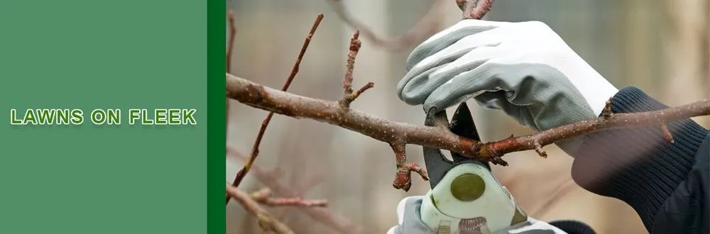 Top-rated garden landscaping in Richmond, KY by Lawns on Fleek