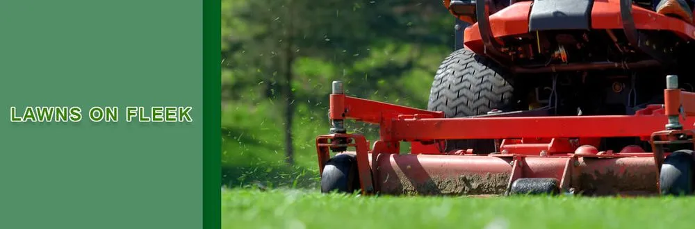 Affordable yard cleanup service with custom design in Richmond, KY by Lawns on Fleek