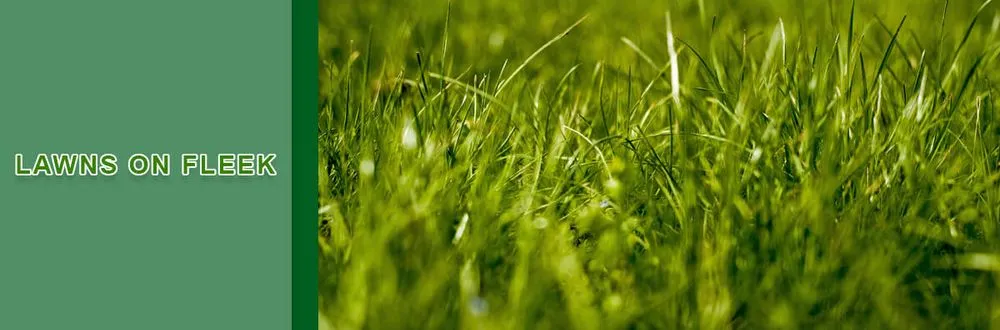 Reliable yard maintenance in Richmond, KY - Lawns on Fleek