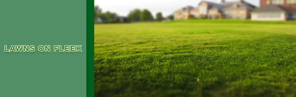 Local outdoor landscaping experts serving Richmond, KY - Lawns on Fleek