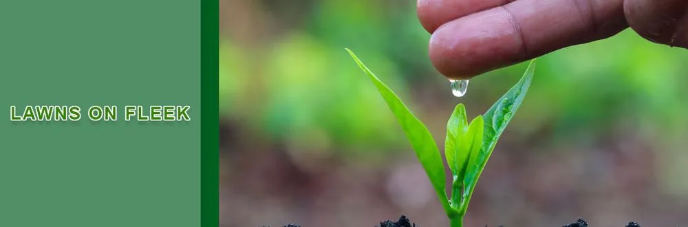 Affordable yard cleanup service for outdoor upgrades across Richmond, KY - Lawns on Fleek