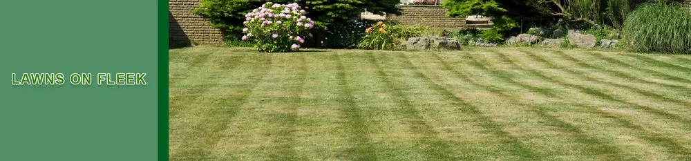 Expert landscape design for homes across Richmond, KY - Lawns on Fleek