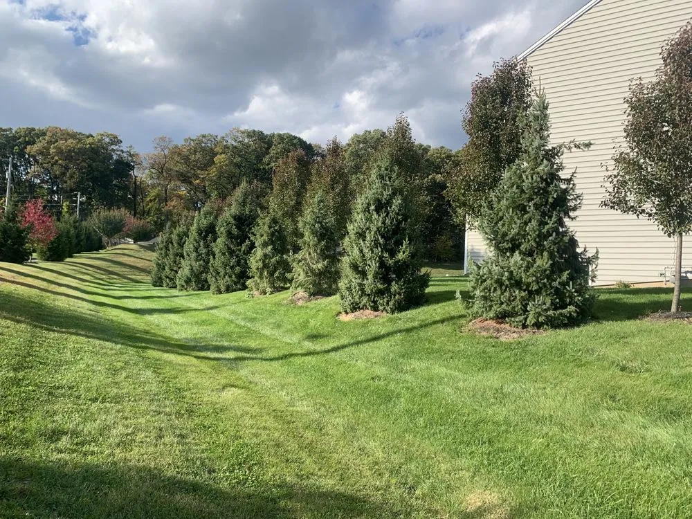 Trusted residential landscaping near you in Harrisburg, PA by Lawns Plants & Pests