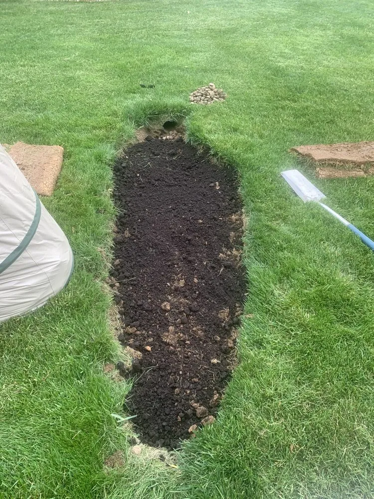 Trusted garden landscaping in Harrisburg, PA - Lawns Plants & Pests