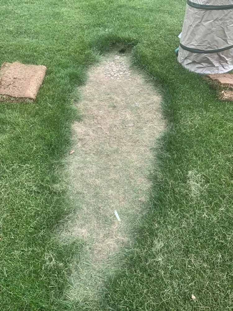 Affordable lawn mowing service for outdoor upgrades in Harrisburg, PA by Lawns Plants & Pests