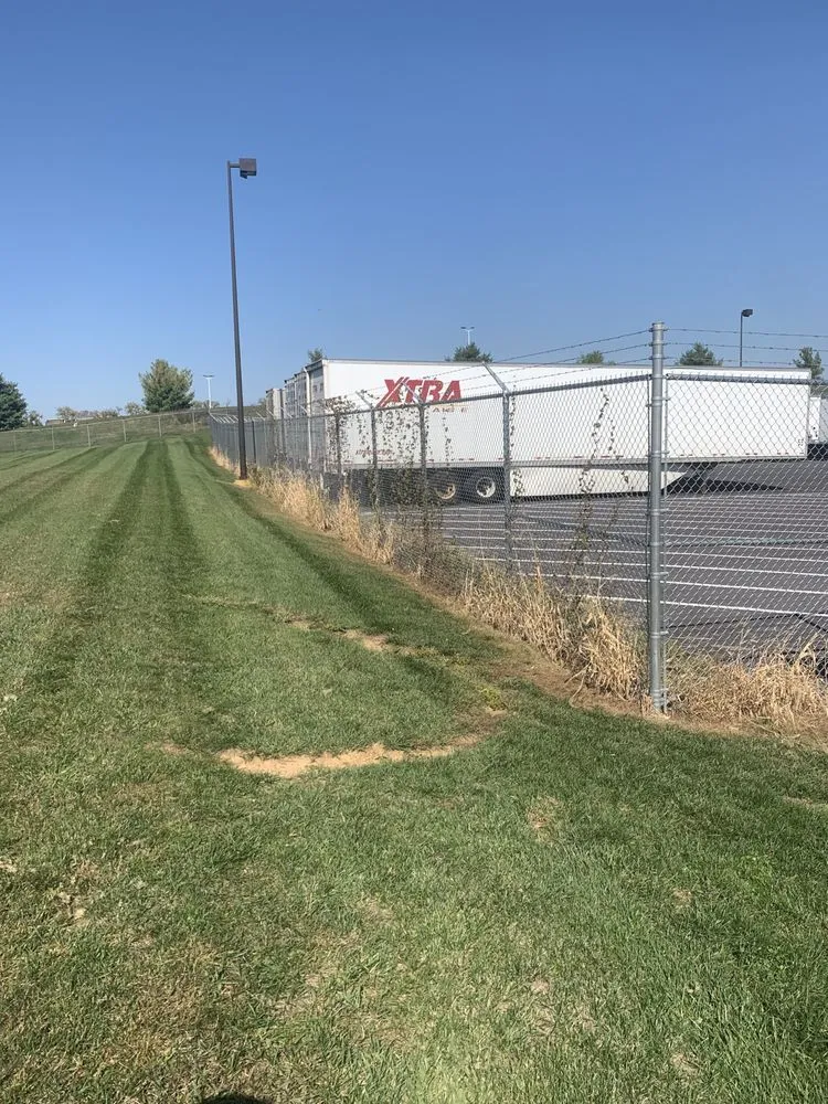 Local yard cleanup service for year-round maintenance in Harrisburg, PA by Lawns Plants & Pests