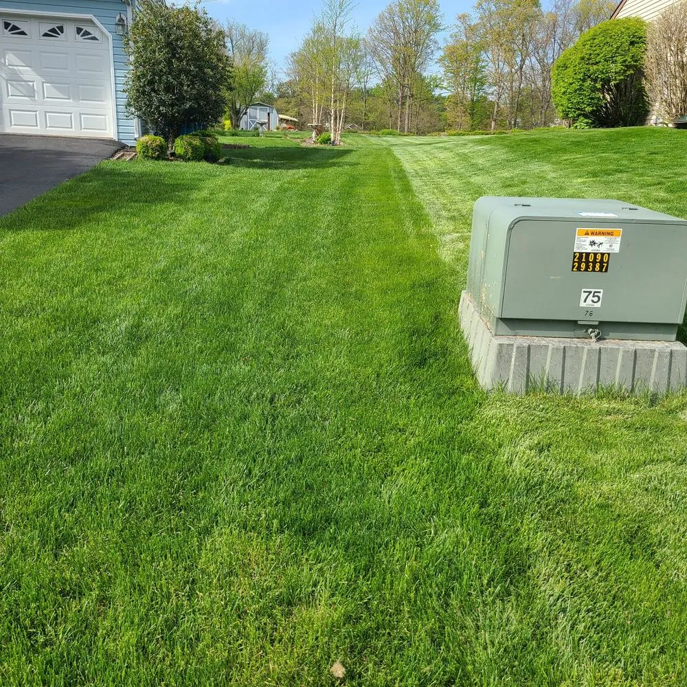 Reliable landscape installation in Harrisburg, PA - Lawns Plants & Pests