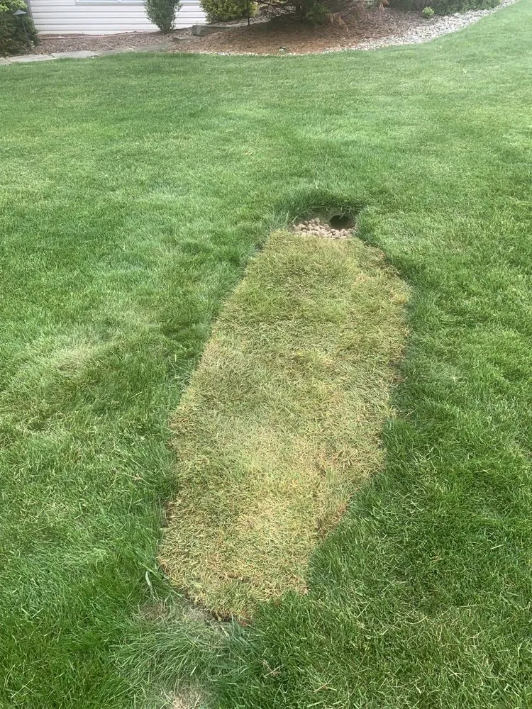 Custom outdoor landscaping in Harrisburg, PA by Lawns Plants & Pests