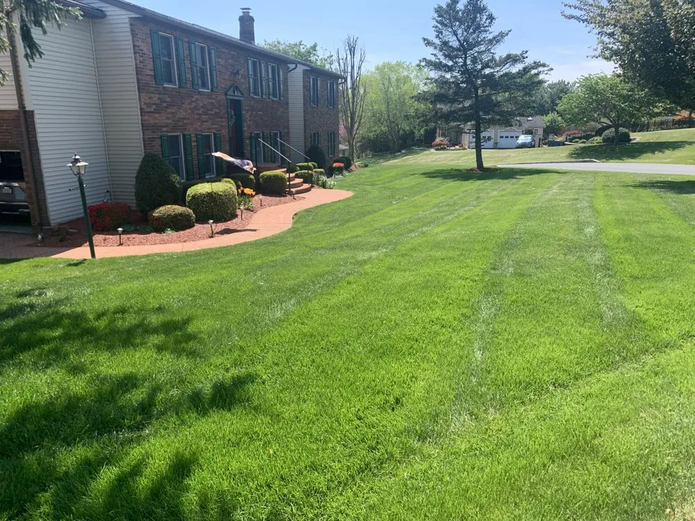 Local lawn care service experts serving Harrisburg, PA - Lawns Plants & Pests