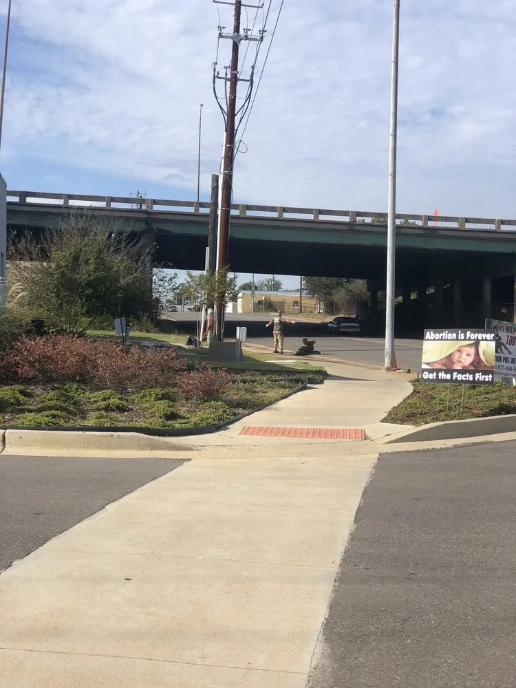 Custom yard cleanup service in Birmingham, AL - Lawns Plus