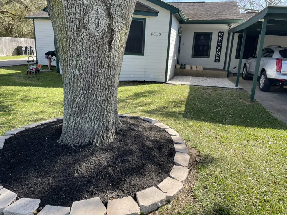 Custom lawn care service for beautiful yards across Hitchcock, TX - Lawns Plus More