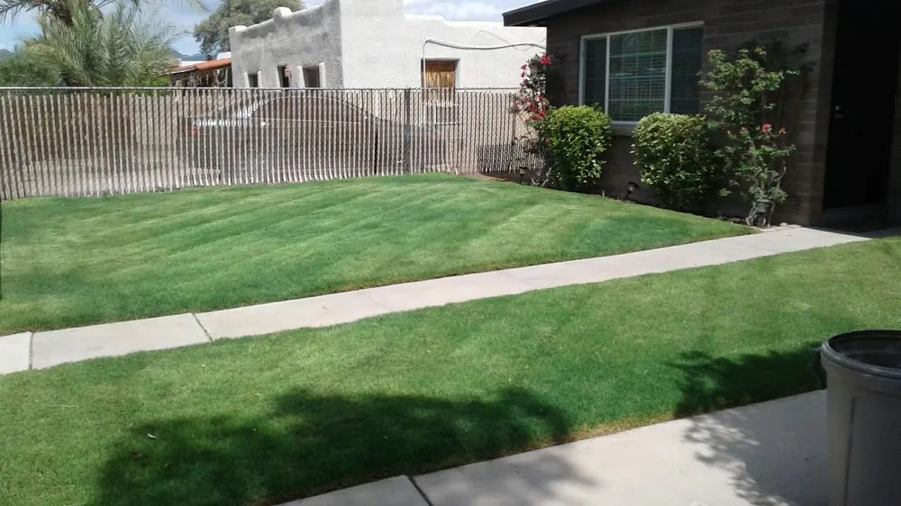 Reliable yard maintenance experts serving Tucson, AZ - Lawns Ponds and Beyond Landscaping