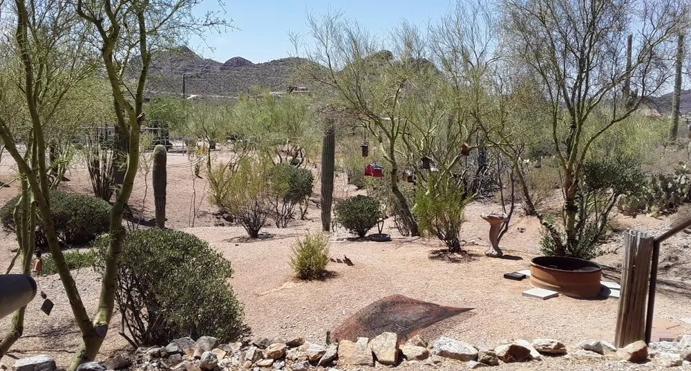 Local lawn mowing service in Tucson, AZ by Lawns Ponds and Beyond Landscaping