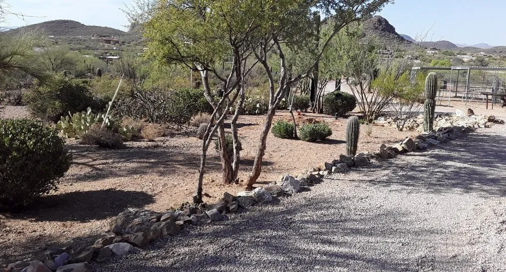 Custom yard maintenance in Tucson, AZ by Lawns Ponds and Beyond Landscaping
