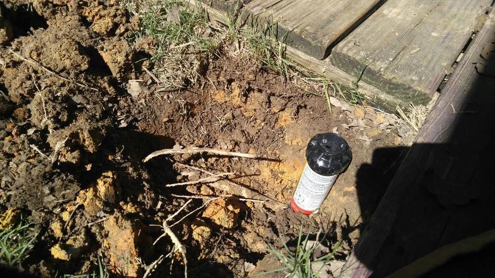 Trusted landscape design experts serving Salem, AL - Lawns, Ponds and Pools