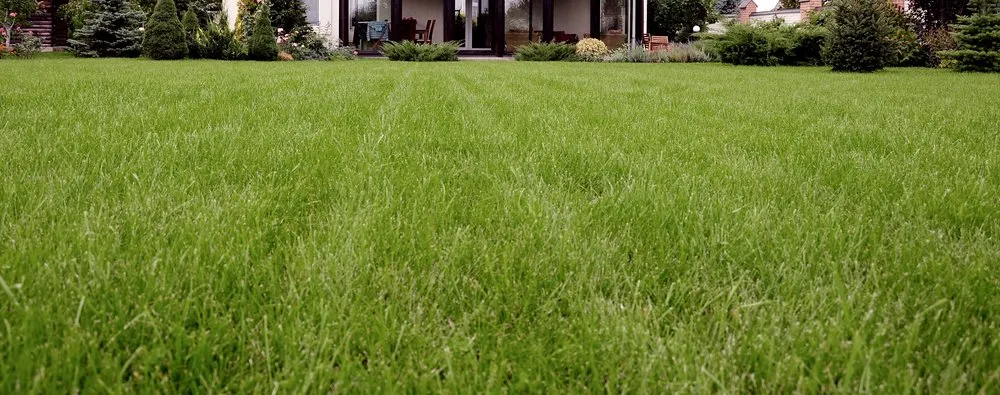 Local landscape installation in Salem, AL by Lawns, Ponds and Pools