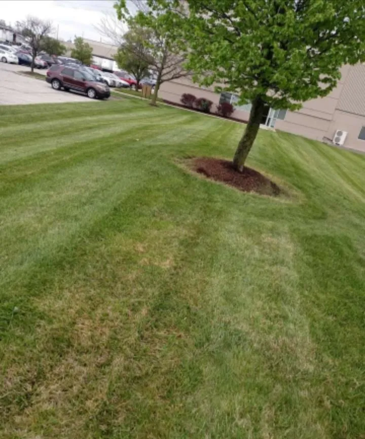 Expert garden landscaping in Indianapolis, IN - Lawn's Pro