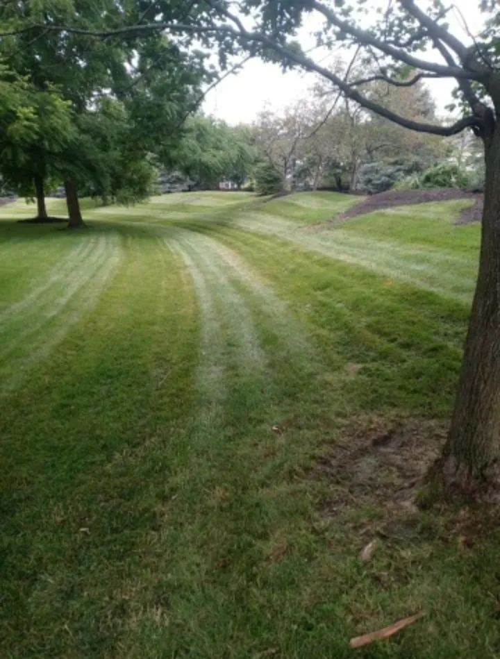 Reliable landscape design in Indianapolis, IN - Lawn's Pro