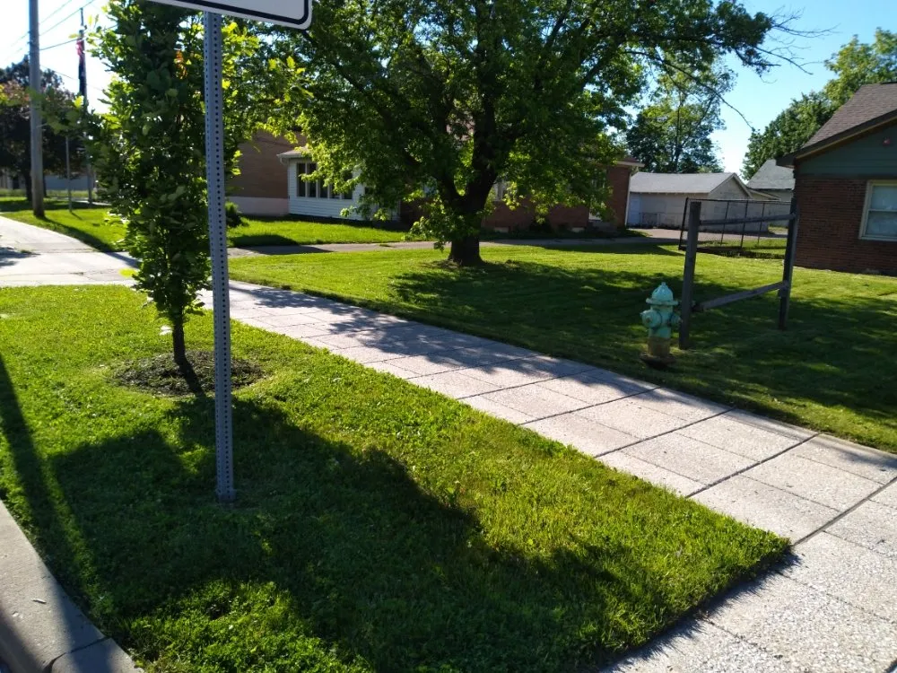 Expert garden landscaping for outdoor upgrades in Indianapolis, IN by Lawn's Pro